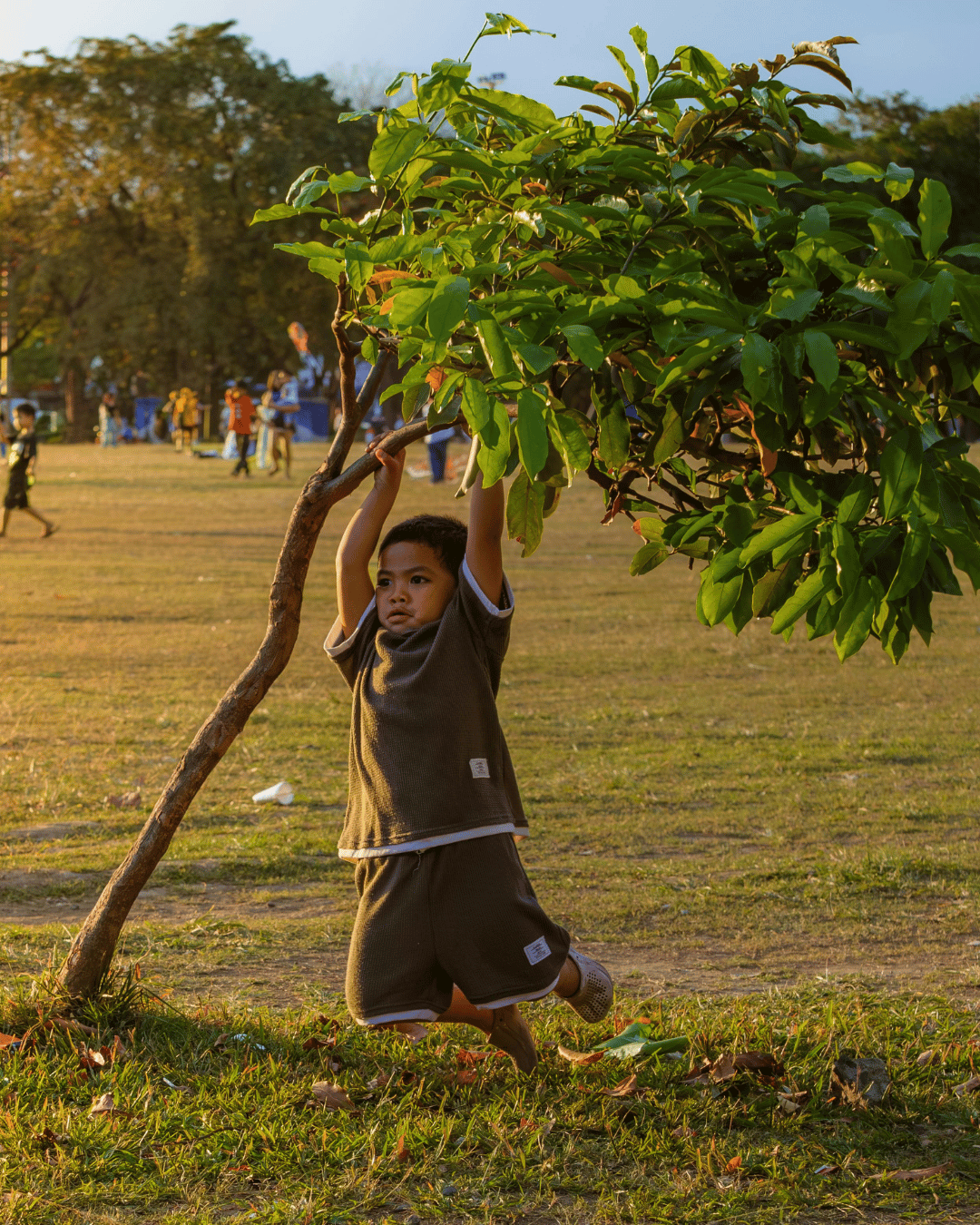 Foto original del niño jugando en el árbol